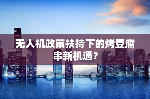 无人机政策扶持下的烤豆腐串新机遇？