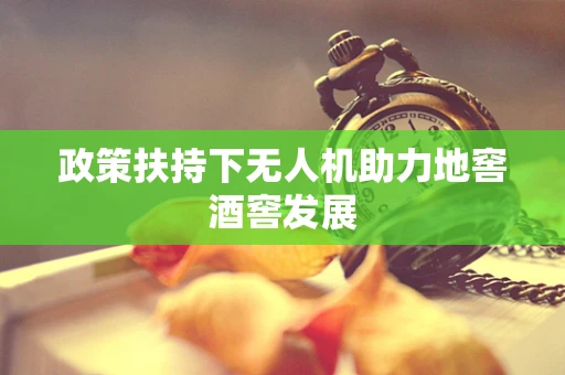 政策扶持下无人机助力地窖酒窖发展