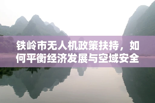 铁岭市无人机政策扶持，如何平衡经济发展与空域安全？