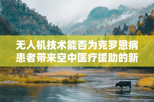 无人机技术能否为克罗恩病患者带来空中医疗援助的新篇章？
