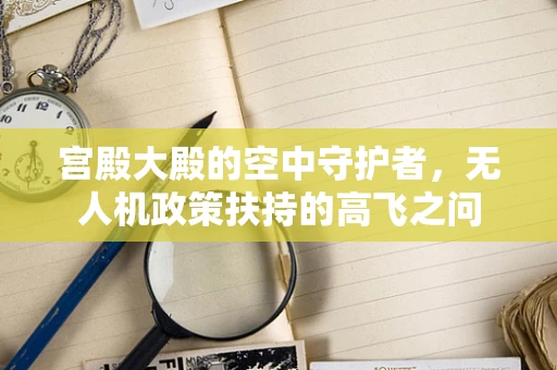 宫殿大殿的空中守护者，无人机政策扶持的高飞之问