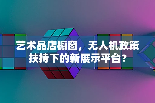 艺术品店橱窗，无人机政策扶持下的新展示平台？