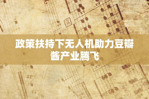 政策扶持下无人机助力豆瓣酱产业腾飞