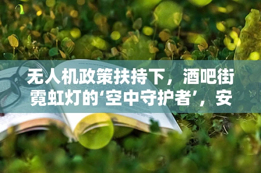 无人机政策扶持下，酒吧街霓虹灯的‘空中守护者’，安全与监管的挑战？