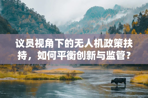 议员视角下的无人机政策扶持，如何平衡创新与监管？