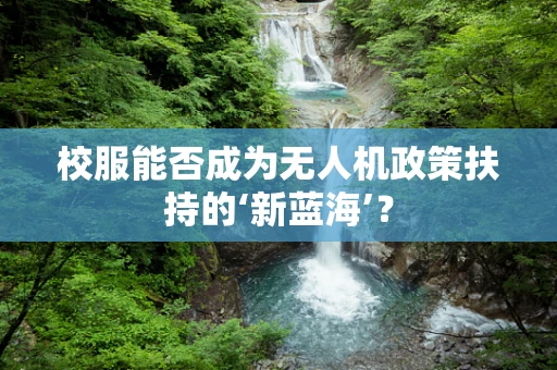 校服能否成为无人机政策扶持的‘新蓝海’？