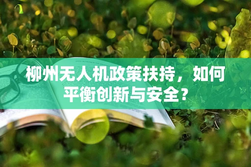 柳州无人机政策扶持，如何平衡创新与安全？