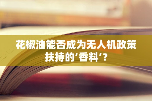 花椒油能否成为无人机政策扶持的‘香料’？