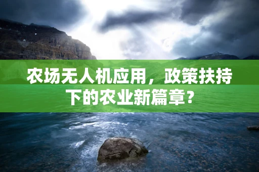 农场无人机应用，政策扶持下的农业新篇章？