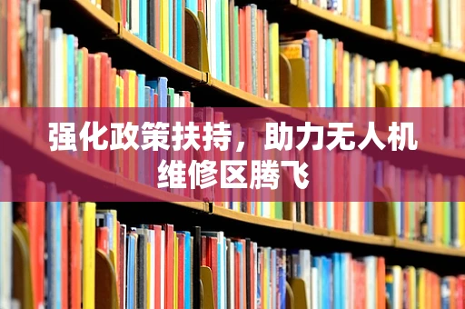 强化政策扶持，助力无人机维修区腾飞