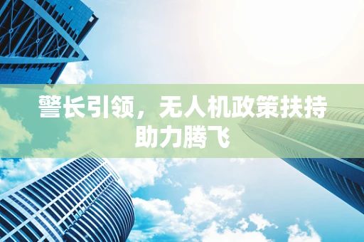 警长引领，无人机政策扶持助力腾飞