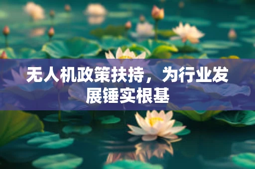 无人机政策扶持，为行业发展锤实根基