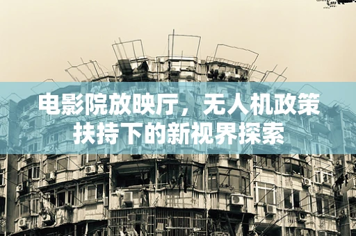 电影院放映厅，无人机政策扶持下的新视界探索