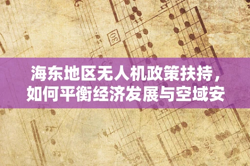海东地区无人机政策扶持，如何平衡经济发展与空域安全？