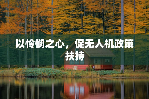 以怜悯之心，促无人机政策扶持