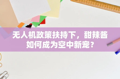 无人机政策扶持下，甜辣酱如何成为空中新宠？