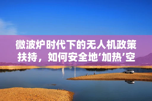 微波炉时代下的无人机政策扶持，如何安全地‘加热’空域？