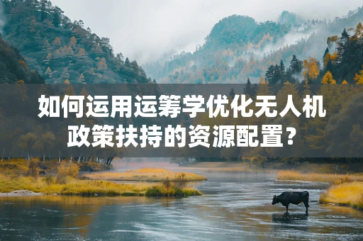如何运用运筹学优化无人机政策扶持的资源配置？