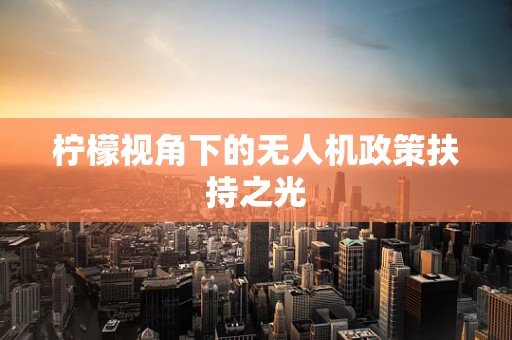 柠檬视角下的无人机政策扶持之光