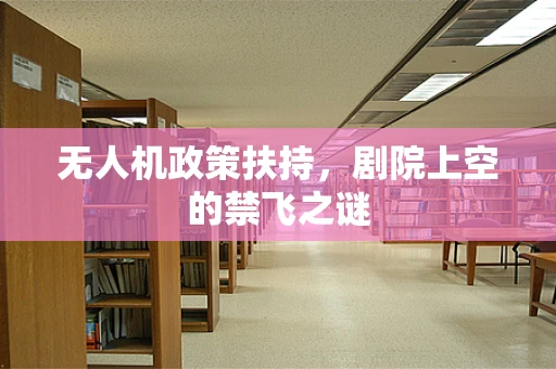 无人机政策扶持，剧院上空的禁飞之谜