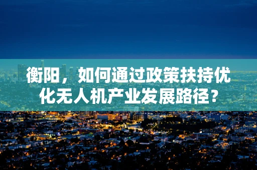 衡阳，如何通过政策扶持优化无人机产业发展路径？
