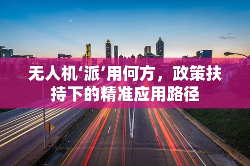 无人机‘派’用何方，政策扶持下的精准应用路径