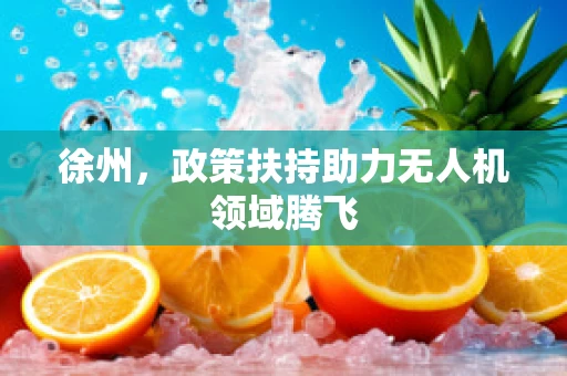 徐州，政策扶持助力无人机领域腾飞