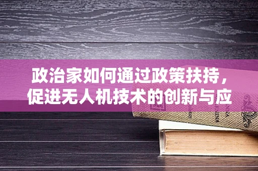 政治家如何通过政策扶持，促进无人机技术的创新与应用？