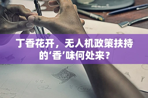 丁香花开，无人机政策扶持的‘香’味何处来？