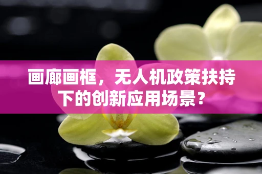画廊画框，无人机政策扶持下的创新应用场景？