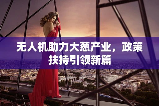 无人机助力大葱产业，政策扶持引领新篇