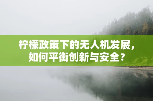 柠檬政策下的无人机发展，如何平衡创新与安全？