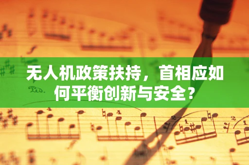 无人机政策扶持，首相应如何平衡创新与安全？