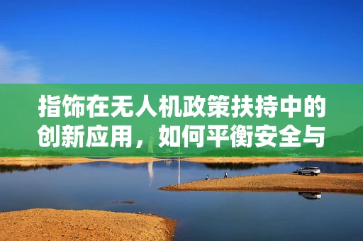指饰在无人机政策扶持中的创新应用，如何平衡安全与个性化？