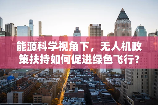 能源科学视角下，无人机政策扶持如何促进绿色飞行？