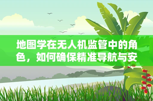 地图学在无人机监管中的角色，如何确保精准导航与安全飞行？