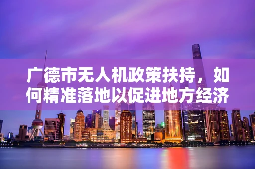 广德市无人机政策扶持，如何精准落地以促进地方经济发展？