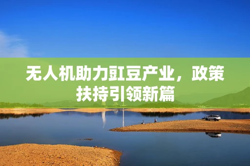 无人机助力豇豆产业，政策扶持引领新篇