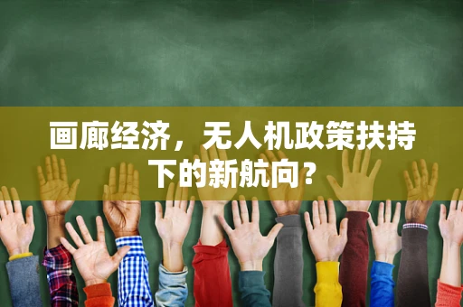 画廊经济，无人机政策扶持下的新航向？