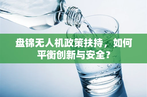 盘锦无人机政策扶持，如何平衡创新与安全？