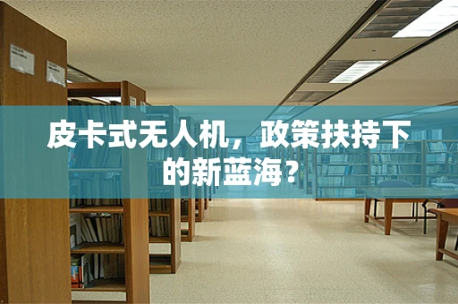 皮卡式无人机，政策扶持下的新蓝海？