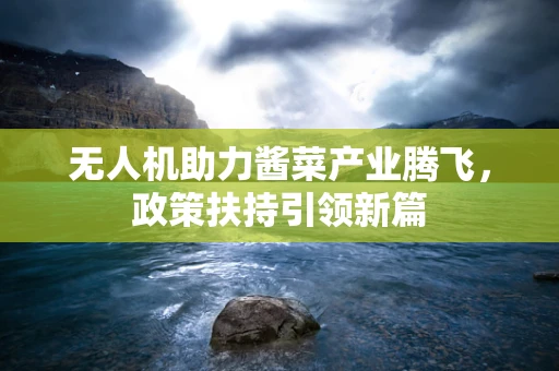 无人机助力酱菜产业腾飞，政策扶持引领新篇