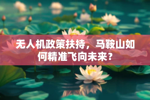 无人机政策扶持，马鞍山如何精准飞向未来？
