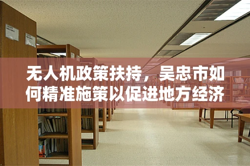 无人机政策扶持，吴忠市如何精准施策以促进地方经济发展？