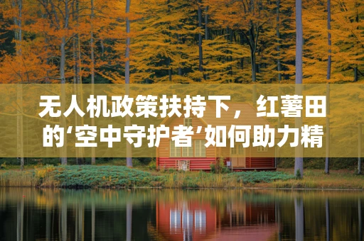 无人机政策扶持下，红薯田的‘空中守护者’如何助力精准农业？