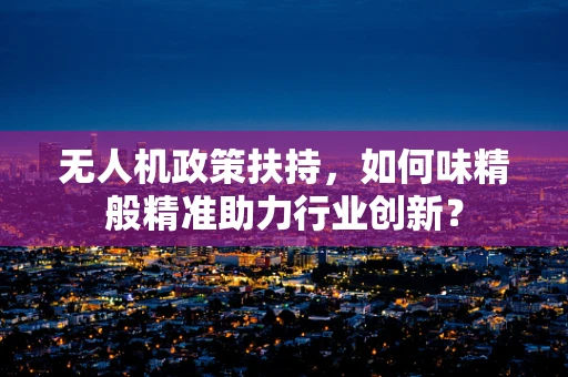 无人机政策扶持，如何味精般精准助力行业创新？