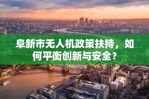 阜新市无人机政策扶持，如何平衡创新与安全？