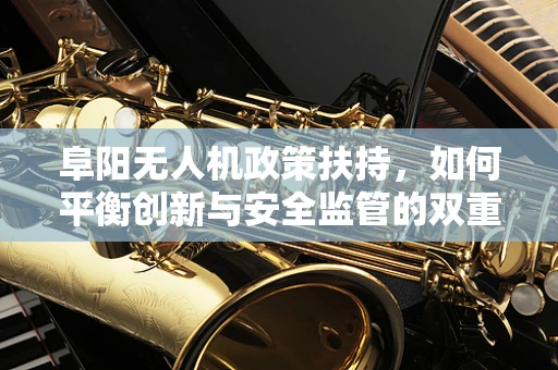 阜阳无人机政策扶持，如何平衡创新与安全监管的双重挑战？