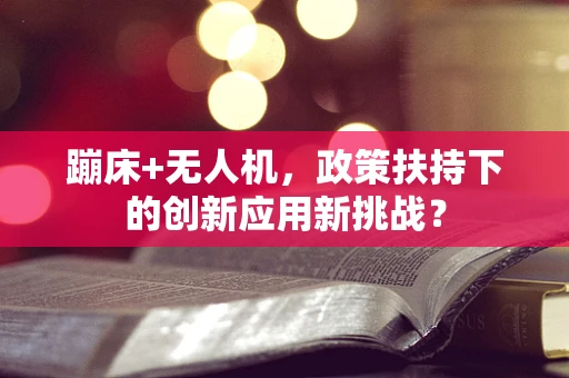 蹦床+无人机，政策扶持下的创新应用新挑战？