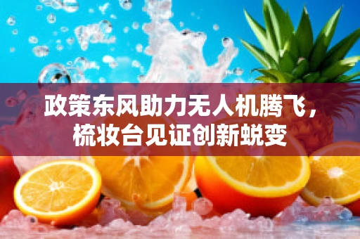 政策东风助力无人机腾飞，梳妆台见证创新蜕变